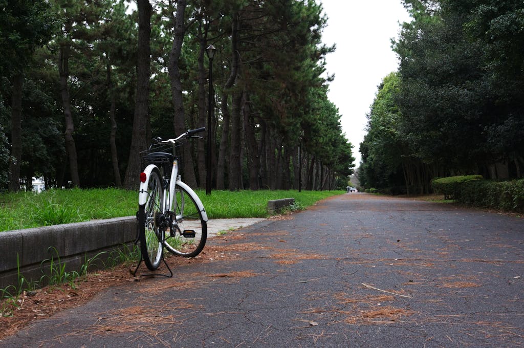 Park Sidewalk with Bicycle and Lush Greenery